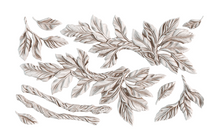 Load image into Gallery viewer, Viridis - IOD Mould