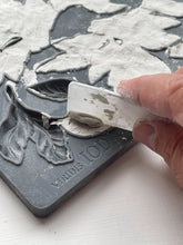 Load image into Gallery viewer, Viridis - IOD Mould