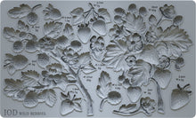 Load image into Gallery viewer, Wild Berries - IOD Mould