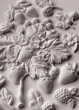 Load image into Gallery viewer, Wild Berries - IOD Mould