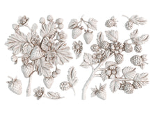 Load image into Gallery viewer, Wild Berries - IOD Mould
