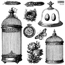 Load image into Gallery viewer, Pastiche - IOD Stamp