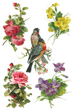 Load image into Gallery viewer, CATHARINA (8 pages) - IOD Transfer Pad