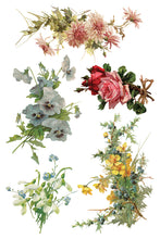 Load image into Gallery viewer, CATHARINA (8 pages) - IOD Transfer Pad
