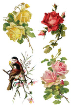 Load image into Gallery viewer, CATHARINA (8 pages) - IOD Transfer Pad