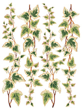 Load image into Gallery viewer, COLLAGE DE FLEURS (8 pages) - IOD Transfer Pad