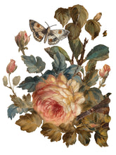 Load image into Gallery viewer, JOIE DES ROSES (8 pages) - IOD Transfer Pad