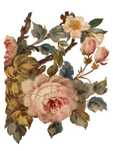 Load image into Gallery viewer, JOIE DES ROSES (8 pages) - IOD Transfer Pad