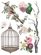Load image into Gallery viewer, MENAGERIE (8 pages, 12x16") - IOD Transfer Pad