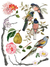 Load image into Gallery viewer, MENAGERIE (8 pages, 12x16") - IOD Transfer Pad