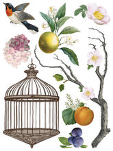 Load image into Gallery viewer, MENAGERIE (8 pages, 12x16") - IOD Transfer Pad
