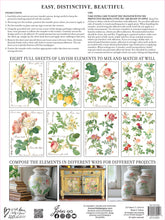Load image into Gallery viewer, Rose Botanical (8 pages) - IOD Transfer Pad