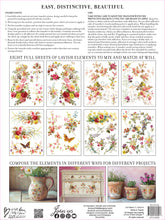 Load image into Gallery viewer, SAINT GERMAIN (8 pages, 12x16") - IOD Transfer Pad