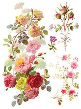 Load image into Gallery viewer, SAINT GERMAIN (8 pages, 12x16") - IOD Transfer Pad