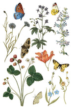 Load image into Gallery viewer, WILDE BLOEMEN (8 pages) - IOD Transfer Pad