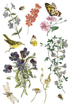 Load image into Gallery viewer, WILDE BLOEMEN (8 pages) - IOD Transfer Pad