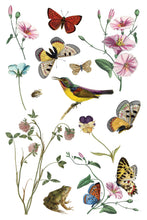 Load image into Gallery viewer, WILDE BLOEMEN (8 pages) - IOD Transfer Pad