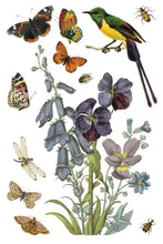 Load image into Gallery viewer, WILDE BLOEMEN (8 pages) - IOD Transfer Pad