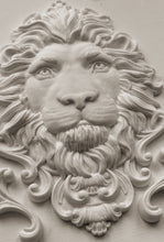 Load image into Gallery viewer, LEONADIS (5x7") - IOD Mould