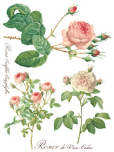 Load image into Gallery viewer, Rose Botanical (8 pages) - IOD Transfer Pad