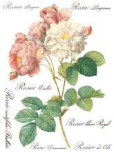 Load image into Gallery viewer, Rose Botanical (8 pages) - IOD Transfer Pad