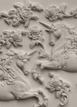 Load image into Gallery viewer, UNICORNS (6x10") - IOD Mould