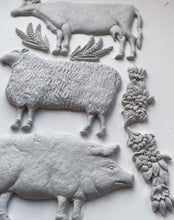 Load image into Gallery viewer, Village Market - IOD Mould