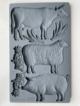 Load image into Gallery viewer, Village Market - IOD Mould