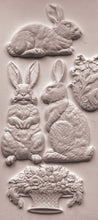 Load image into Gallery viewer, LES LAPINS - IOD Mould