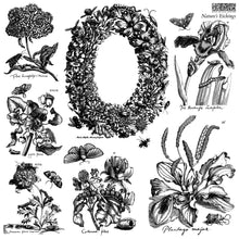 Load image into Gallery viewer, NATURE'S ETCHINGS (12x12") - IOD Double Stamp