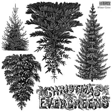 Load image into Gallery viewer, WINTERGROVE (12x12") - IOD Stamp