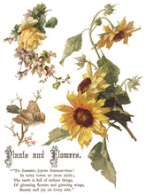 Load image into Gallery viewer, FLOWERS BY THE POETS (8 pages, 12x16") - IOD Transfer Pad