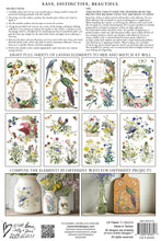 Load image into Gallery viewer, FLORA GRECA (8 pages) - IOD Transfer Pad