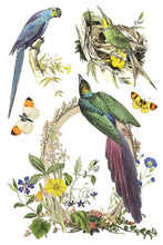 Load image into Gallery viewer, FLORA GRECA (8 pages) - IOD Transfer Pad