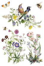 Load image into Gallery viewer, FLORA GRECA (8 pages) - IOD Transfer Pad