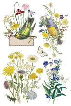 Load image into Gallery viewer, FLORA GRECA (8 pages) - IOD Transfer Pad