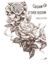 Load image into Gallery viewer, MAY'S ROSES (4 pages) - IOD Transfer Pad
