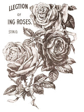 Load image into Gallery viewer, MAY'S ROSES (4 pages) - IOD Transfer Pad