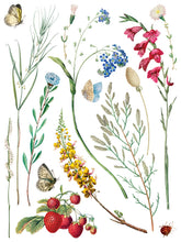 Load image into Gallery viewer, MARCHÉ DES FLEURS (8 pages, 12x16") - IOD Transfer Pad