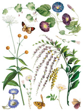 Load image into Gallery viewer, MARCHÉ DES FLEURS (8 pages, 12x16") - IOD Transfer Pad