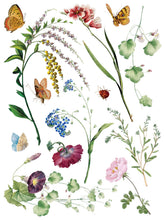 Load image into Gallery viewer, MARCHÉ DES FLEURS (8 pages, 12x16") - IOD Transfer Pad