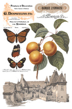 Load image into Gallery viewer, SAINT OUEN (8 pages) - IOD Transfer Pad