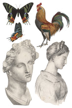 Load image into Gallery viewer, SAINT OUEN (8 pages) - IOD Transfer Pad