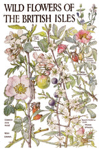 Load image into Gallery viewer, PRIMROSE ISLE (8 pages, 8X12") - IOD Transfer Pad