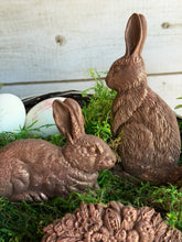 Load image into Gallery viewer, LES LAPINS - IOD Mould