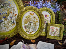 Load image into Gallery viewer, FLORA GRECA (8 pages) - IOD Transfer Pad