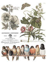 Load image into Gallery viewer, BROCANTE (8 pages) - IOD Transfer Pad
