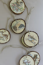 Load image into Gallery viewer, THE BRAMBLEWOOD DIARIES (8 pages) - IOD Transfer Pad
