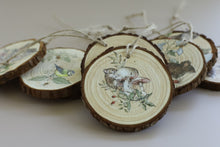Load image into Gallery viewer, THE BRAMBLEWOOD DIARIES (8 pages) - IOD Transfer Pad
