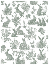 Load image into Gallery viewer, Spring Melody - IOD Paint Inlay
